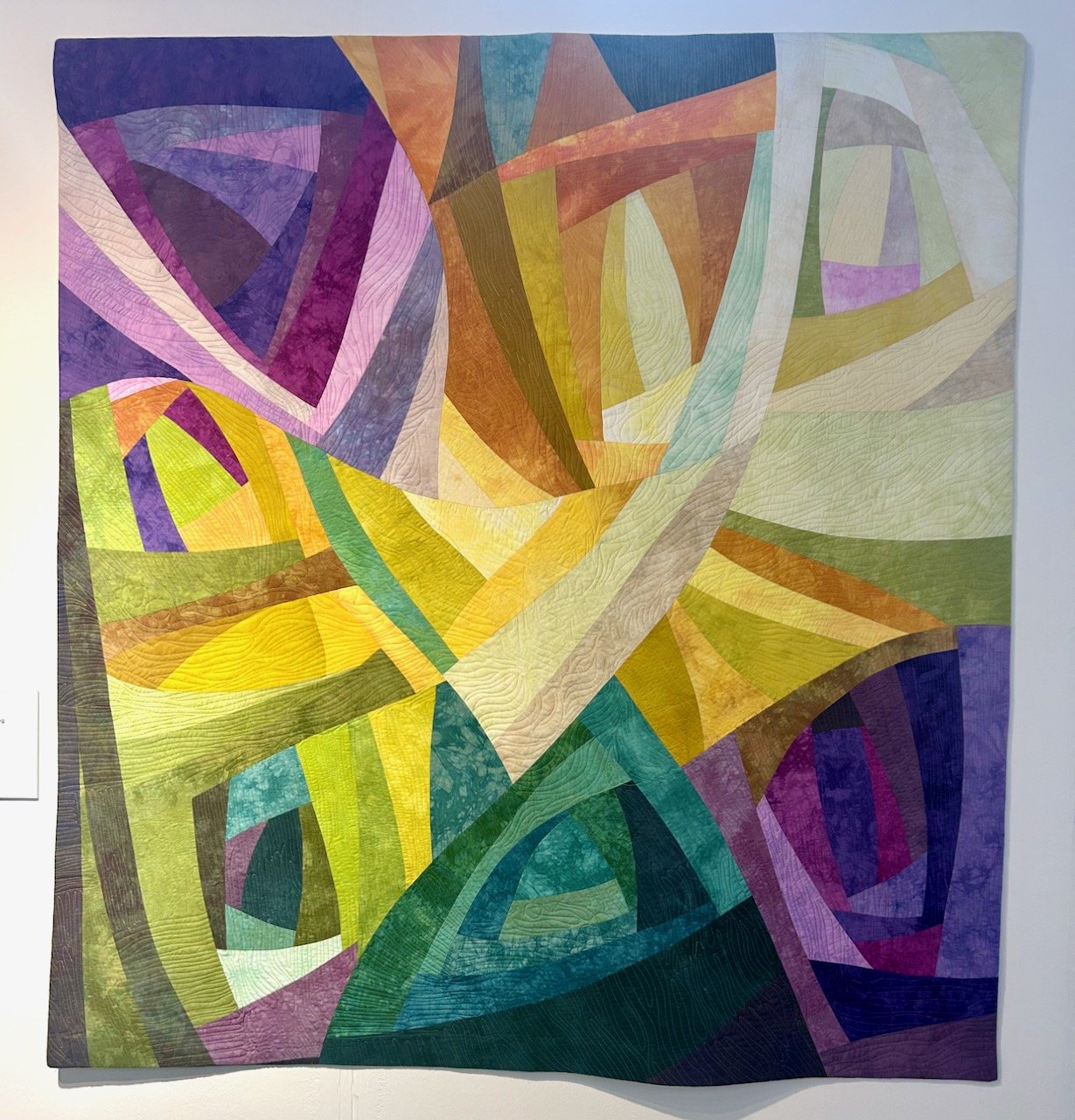 DAYTIME DREAMING, KAREN SUNDAY SPENCER - FESTIVAL OF QUILTS 2025