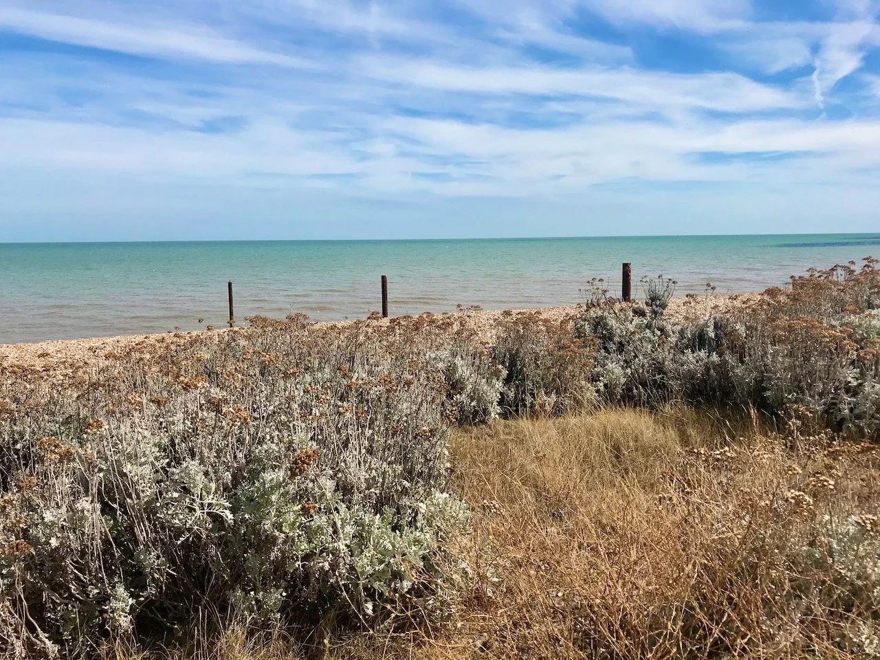 hardy plants in the foreground with a glimpse of stony beach with three posts then the green of the sea and blue and white of the sky