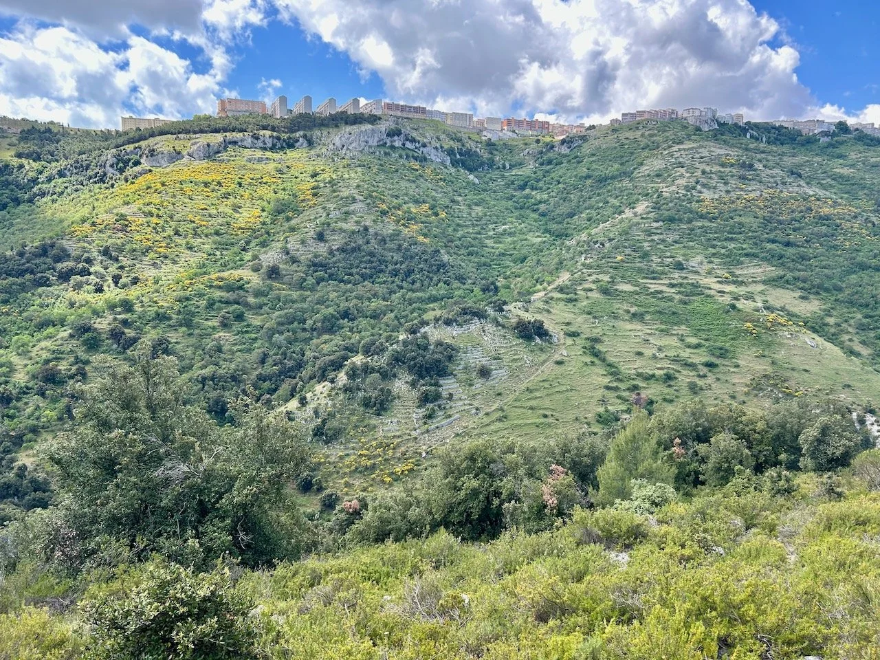 Looking up to Mont Sant' Angelo