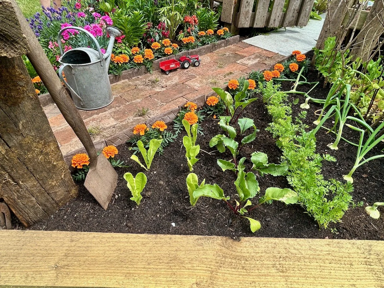 RETURNING TO MY ROOTS, STEVE WALTON - GARDENERS' WORLD LIVE 2026