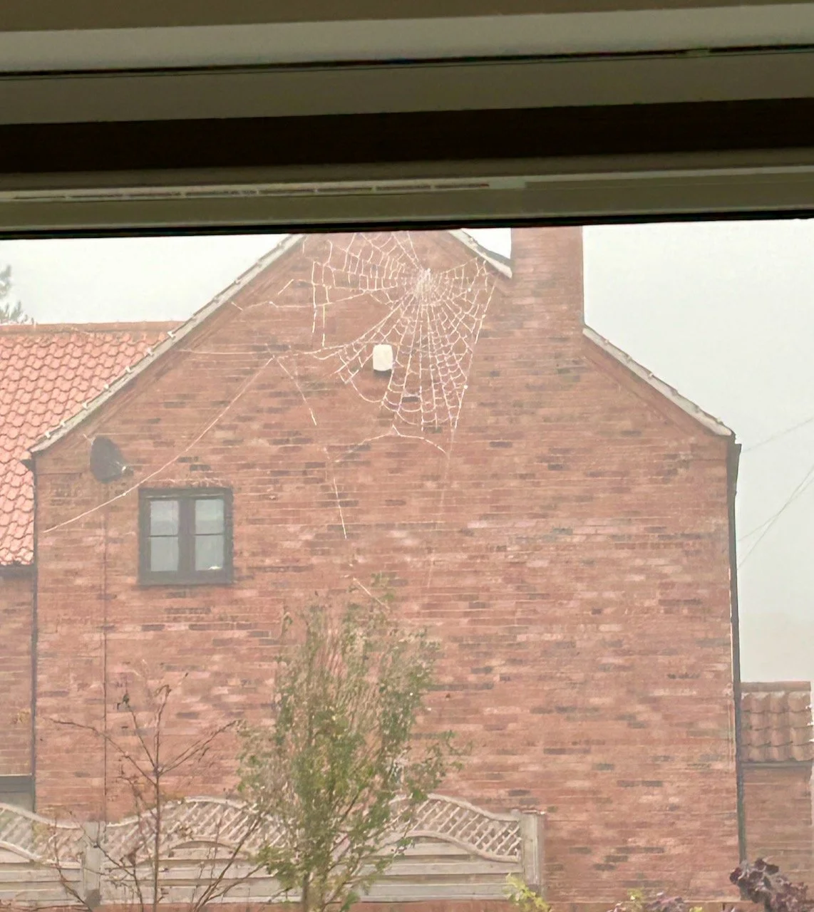 Foggy skies and jewelled spider webs on the window - viewed from inside!