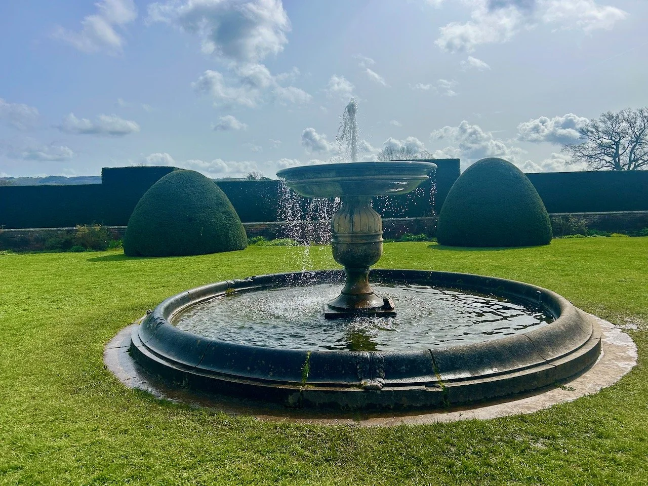 The fountain in the lower part of the garden among more yew 'flump like' topiary