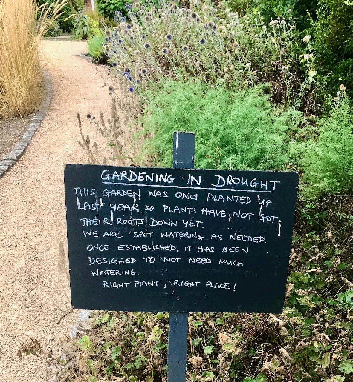 A handwritten sign explaining how new the garden is and how spot watering is happening as needed until established