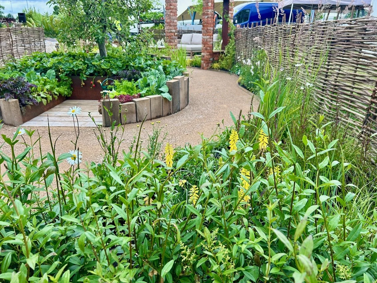 Spotting yellow red hot pokers in the border's planting