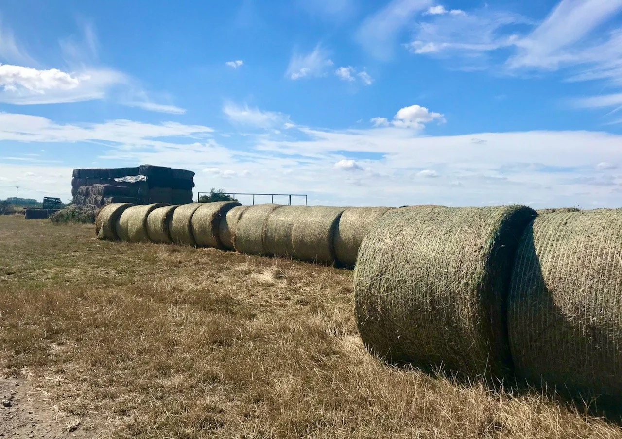 Round hay bales stacked longways in a field