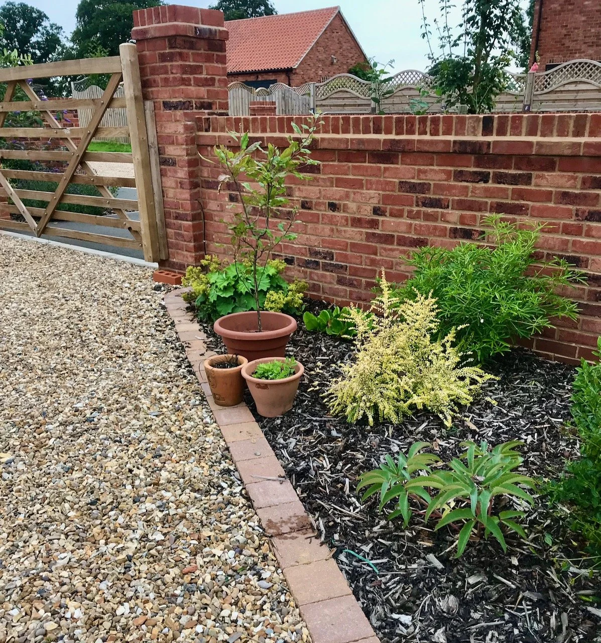 A group of three pots - apple tree, black grass and some new blue flowers from dad - near the entrance gate