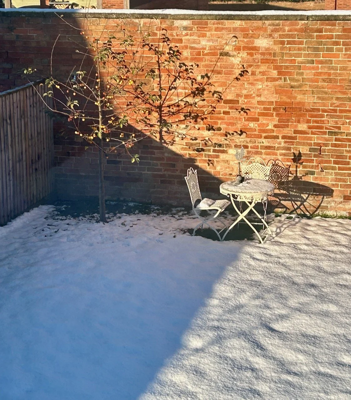 Admiring the shadow of the crab apple tree on the wall, but also the sun on the snow covered lawn