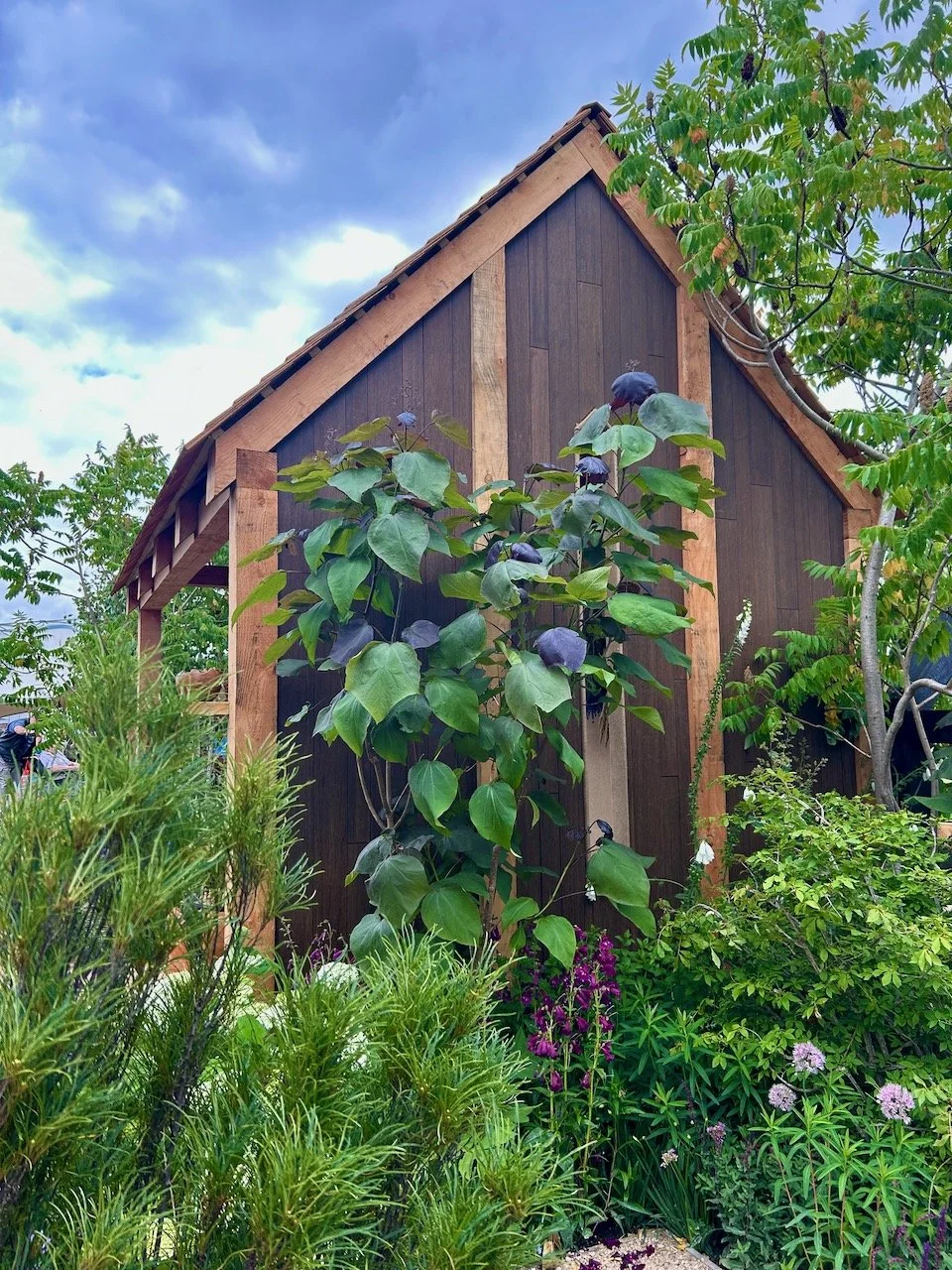 Lush green planting growing alongside one of the buildings softening its shape