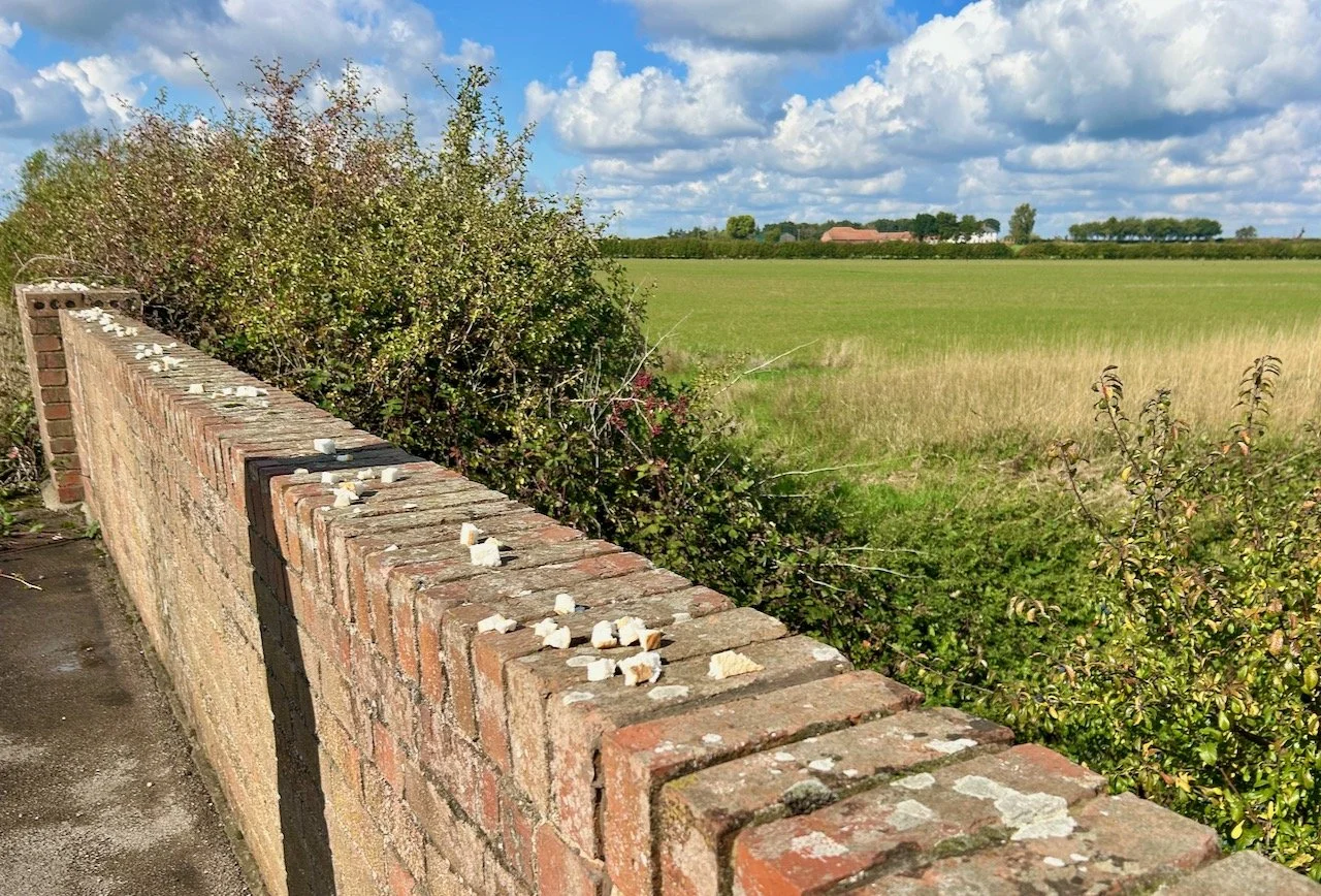 cubes of bread lined up along the opposite side of the bridge
