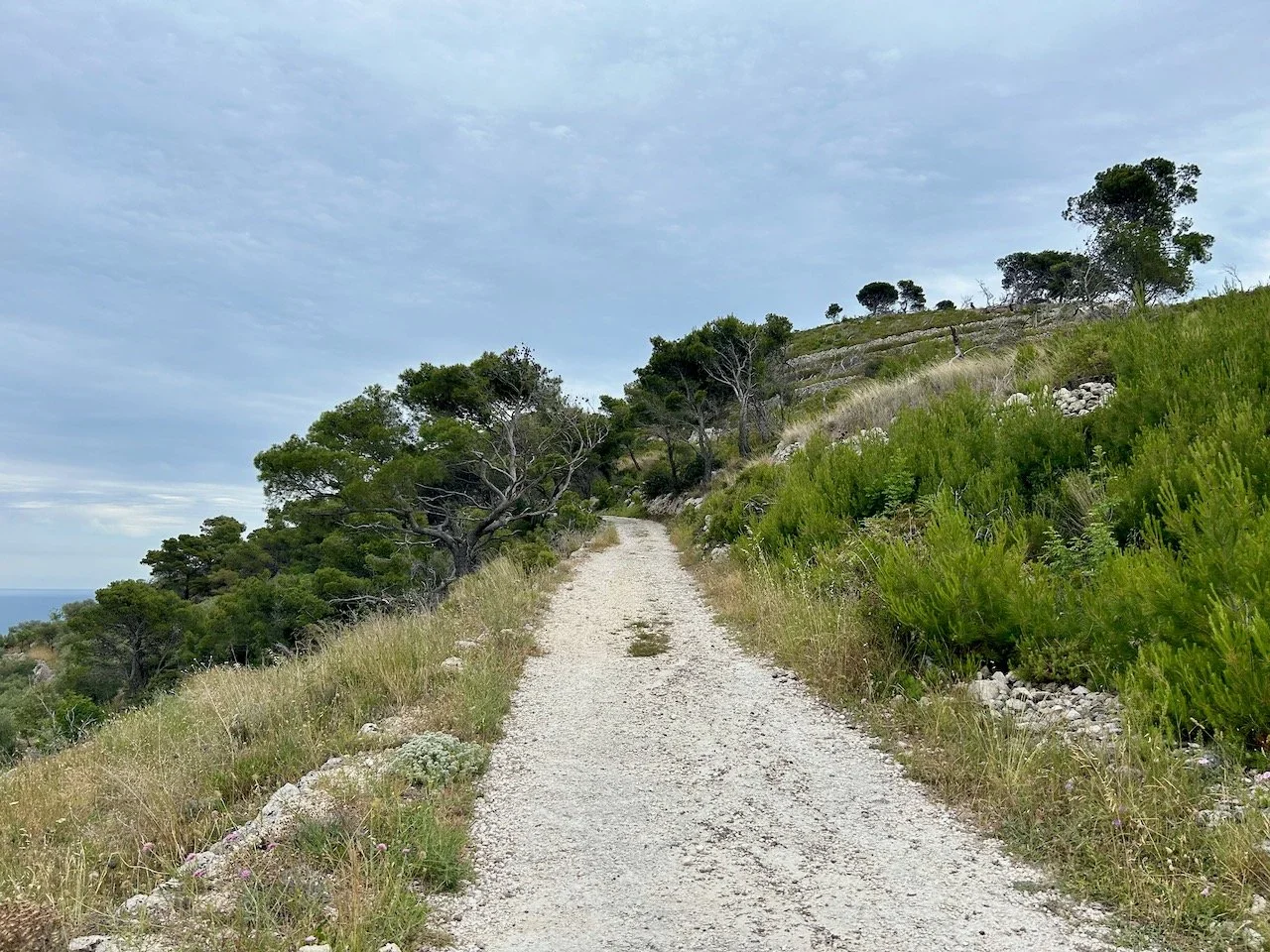 A much wider gravelled path leading to the headland of Mount Saraceno
