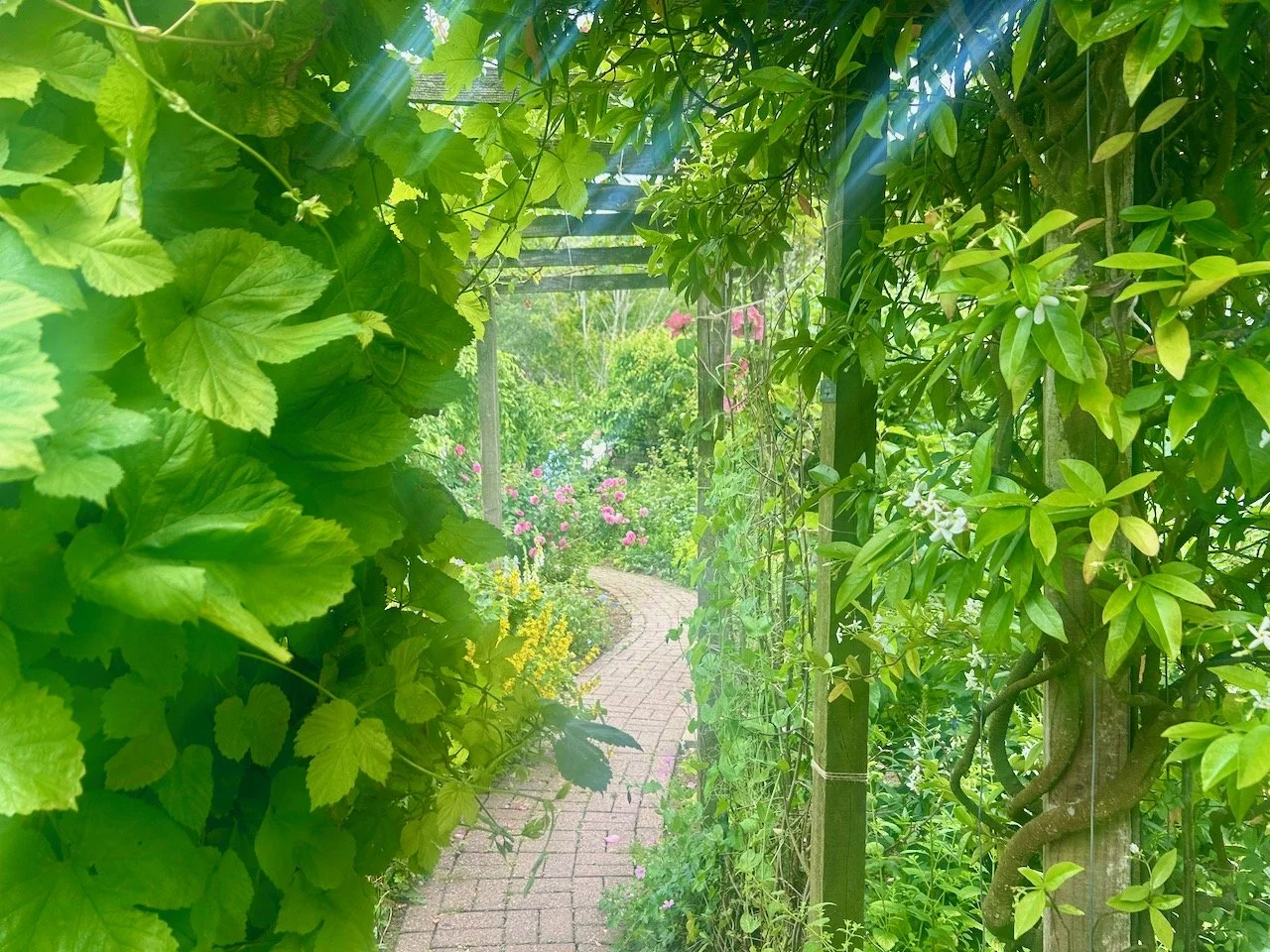 Heading back out of the Ornamental Kitchen Garden