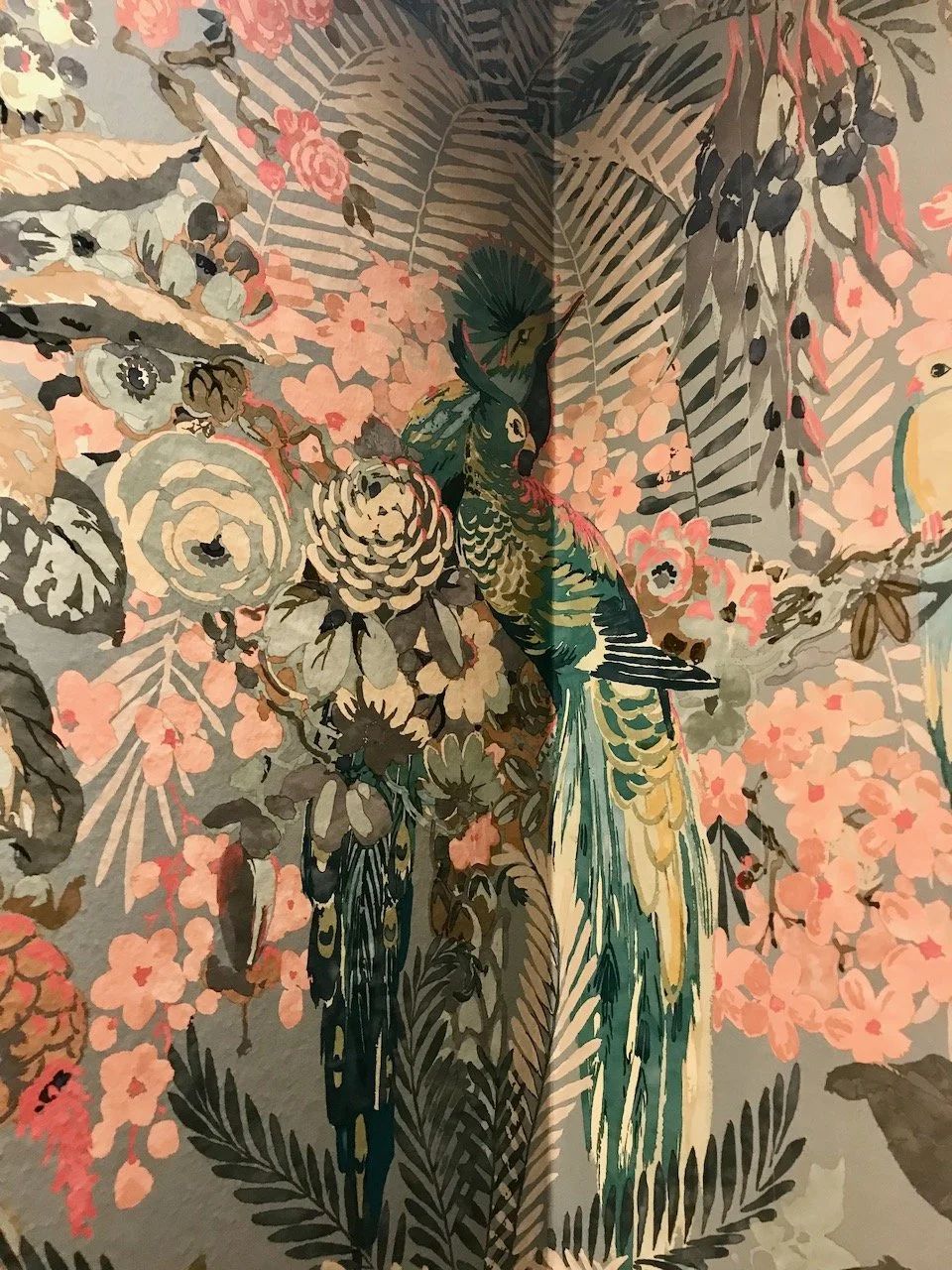 in the corner of the tropical wallpaper, birds nestle