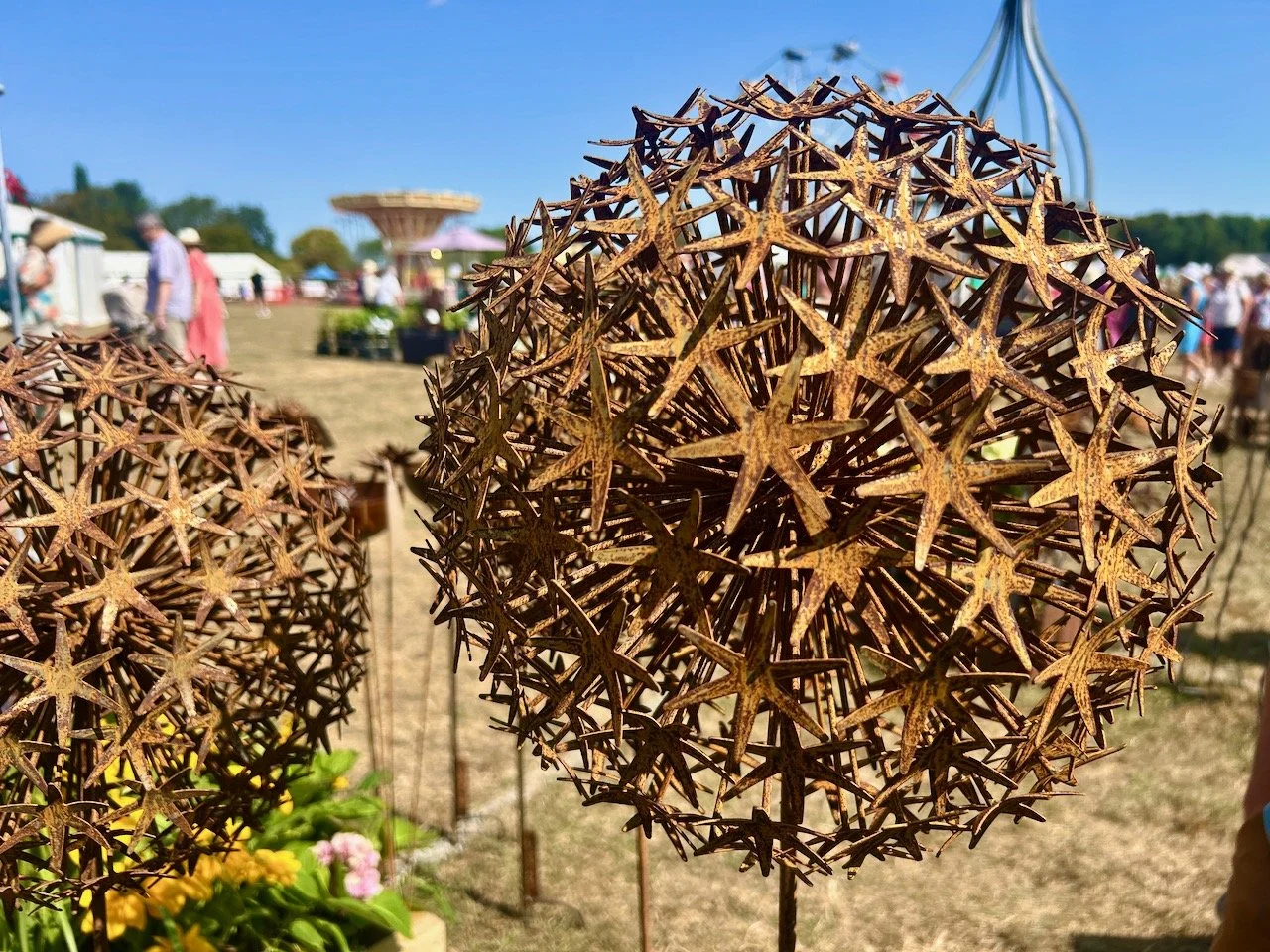 Looking back to the first Rutland Flower Show