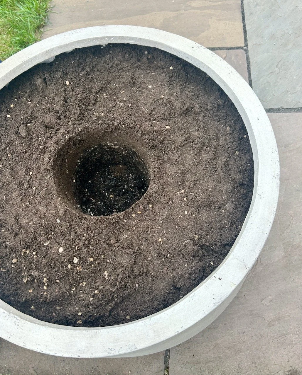 The olive pot sized hole once the plant was removed