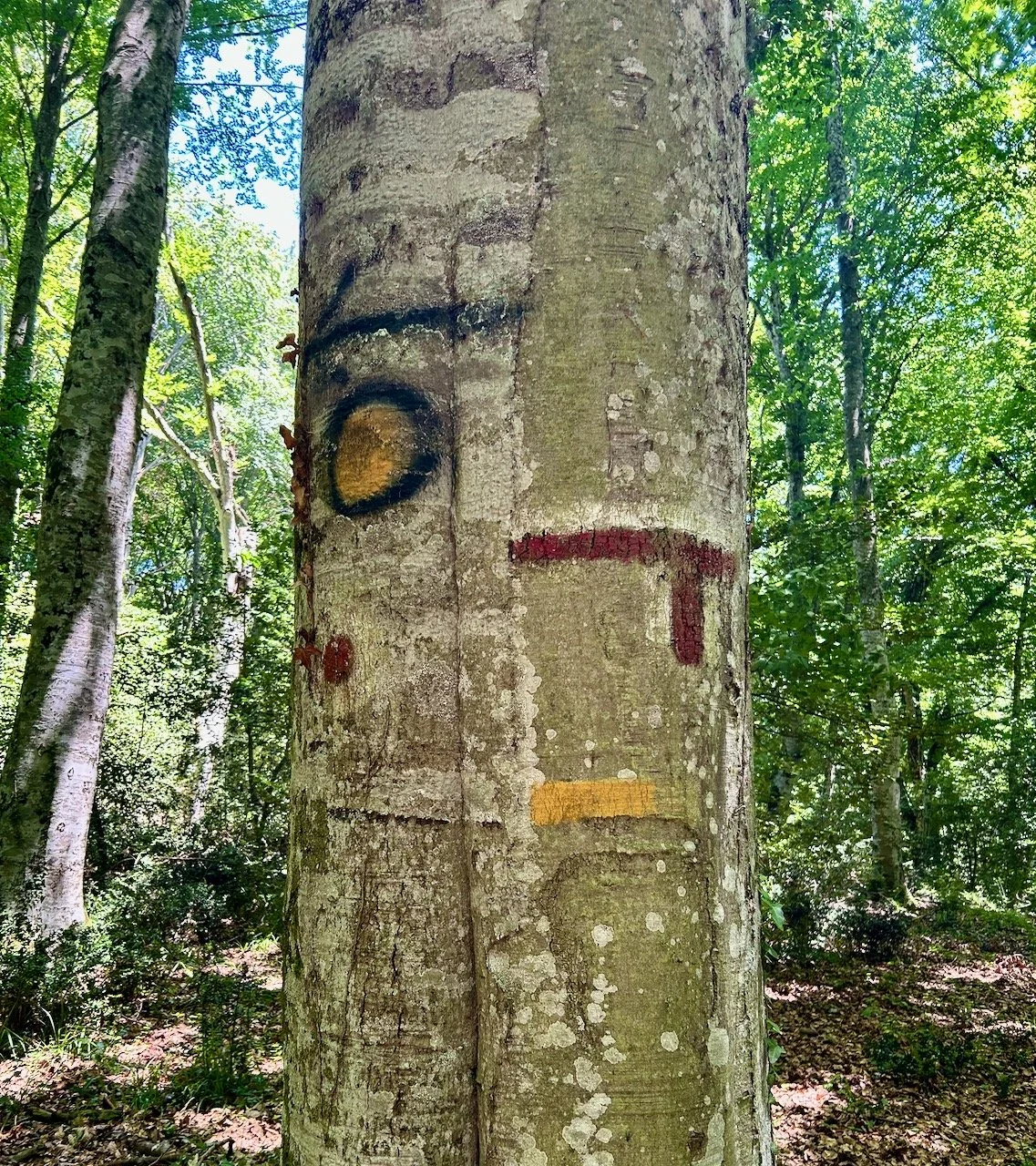 A black arrow pointing left, a yellow and black circle and red markings on the left.  on the right of the tree is a red and white inverted L mark and a yellow dash