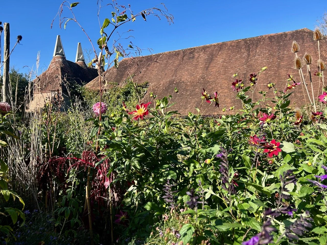 A riotous border in the foreground, and a roof and oast houses in the background