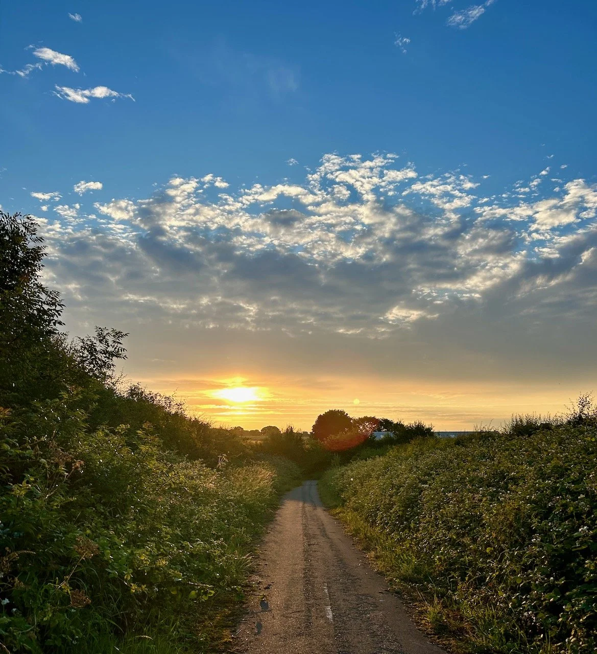 The sun setting in the distance over a Nottinghamshire country lane