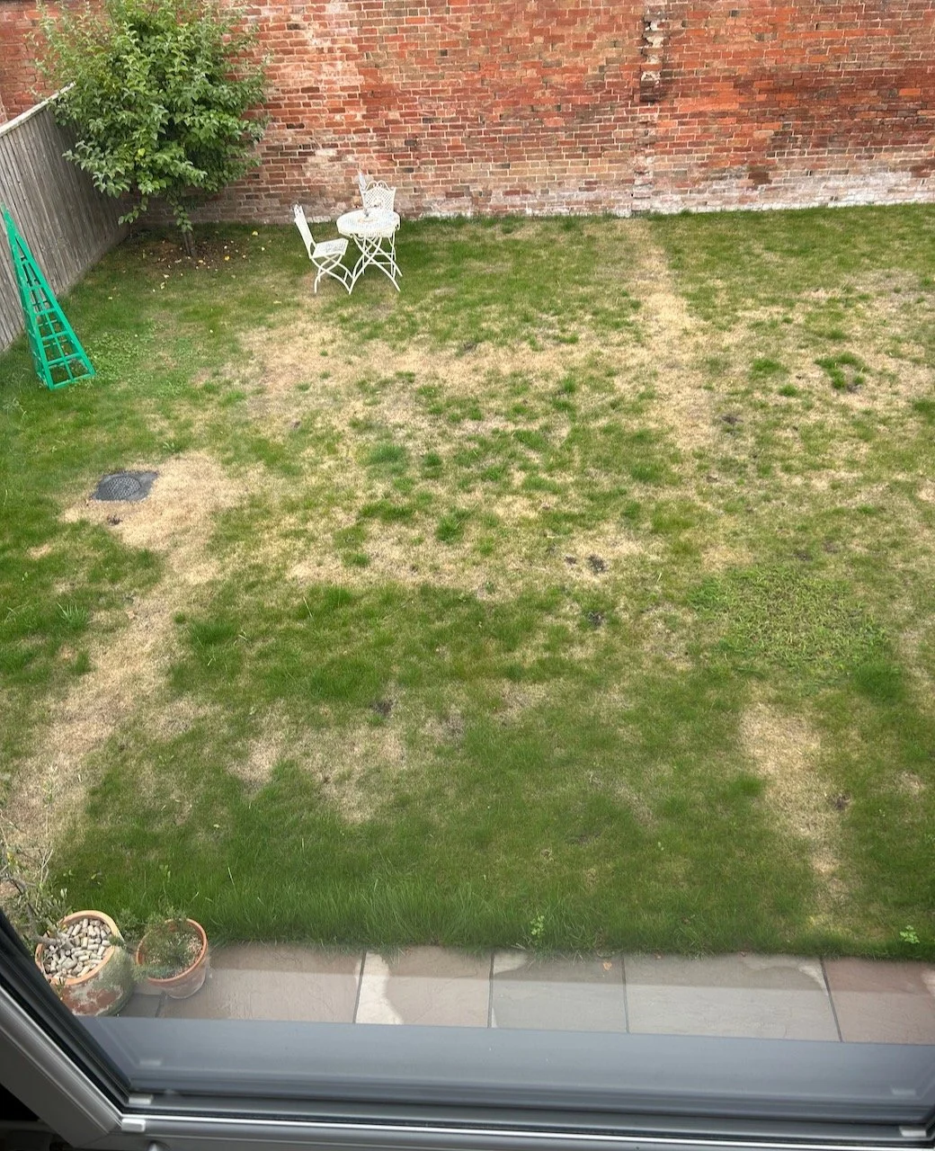 Our grass in drought - and lines of former buildings or structured are revealed