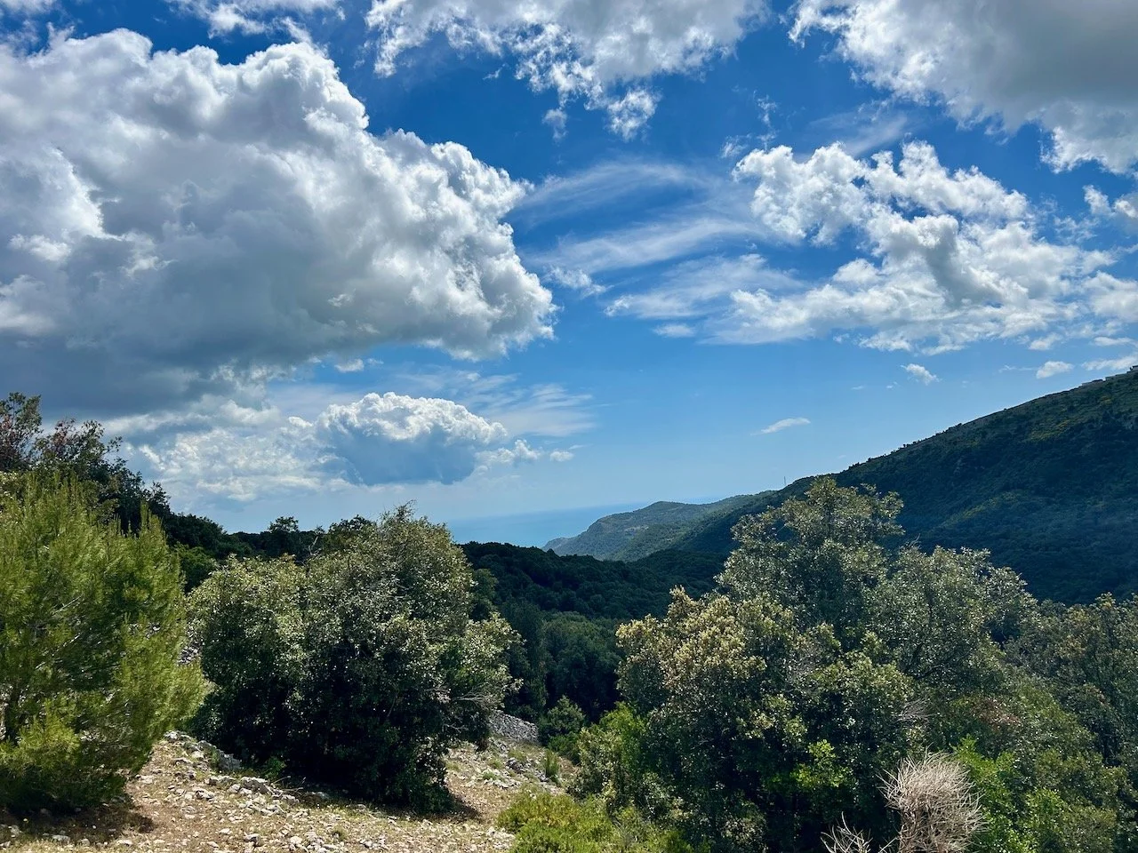 Stunning views towards the coast - blue skies and fluffy white clouds