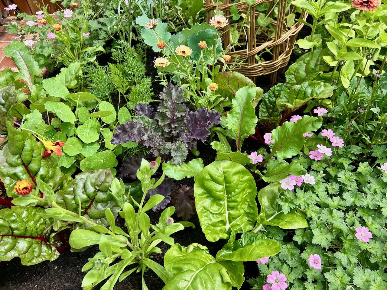 From Sewing to Sowing, Annabel Davies, Gardeners' World Live 2026