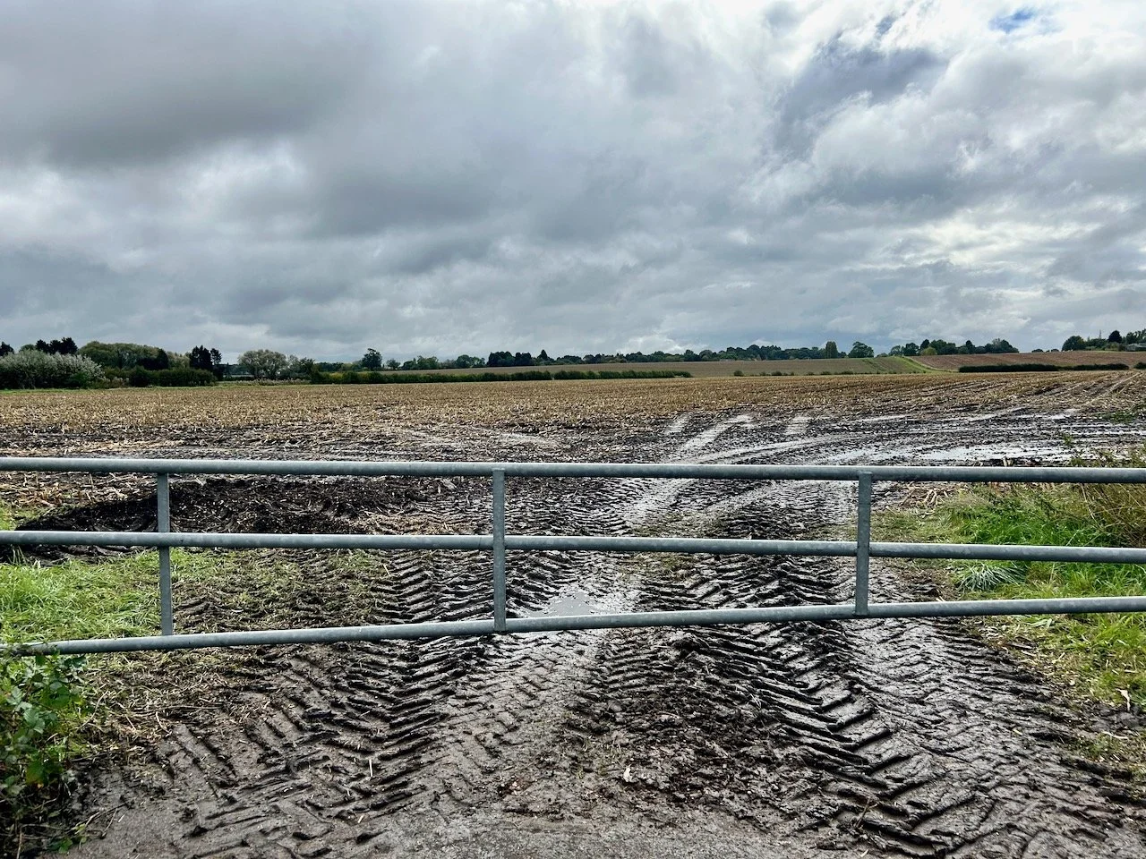 Looking at the tractor tyre prints in a muddy field entrance