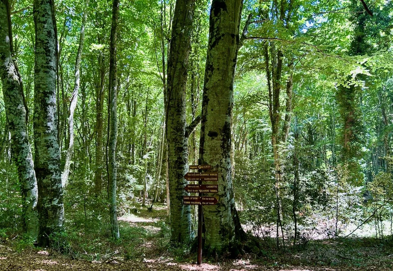 Wooden signposts with place names and distances in the Foresta Umbra
