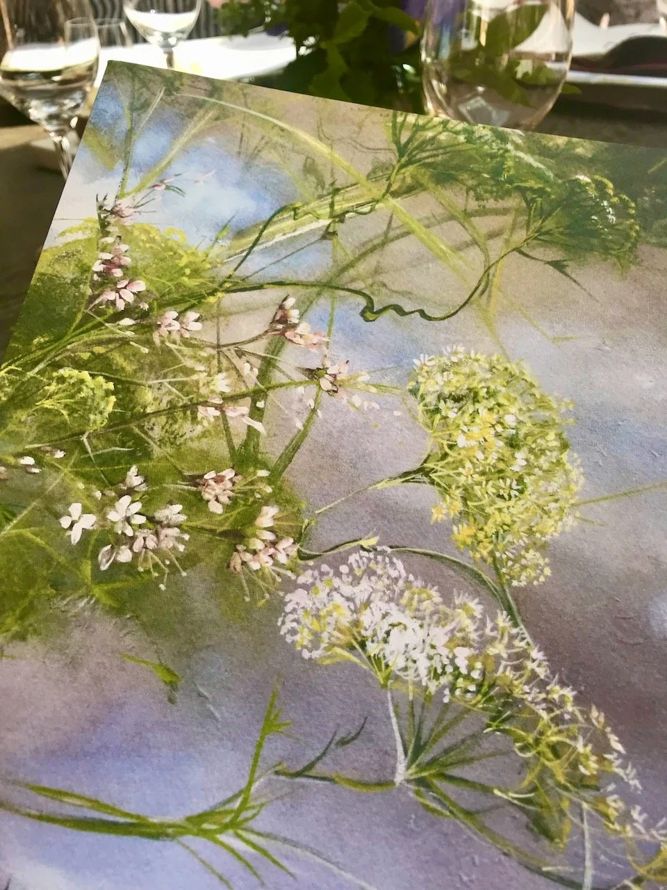 Elderflower watercolour image on the front of the menu
