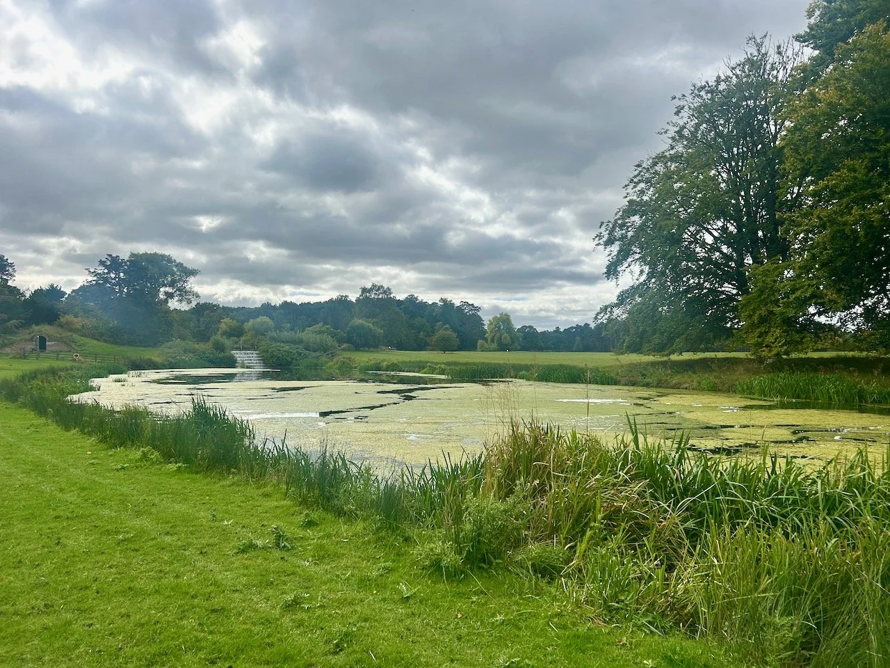 Midway along the lake at Scampston Hall looking towards The Cascades