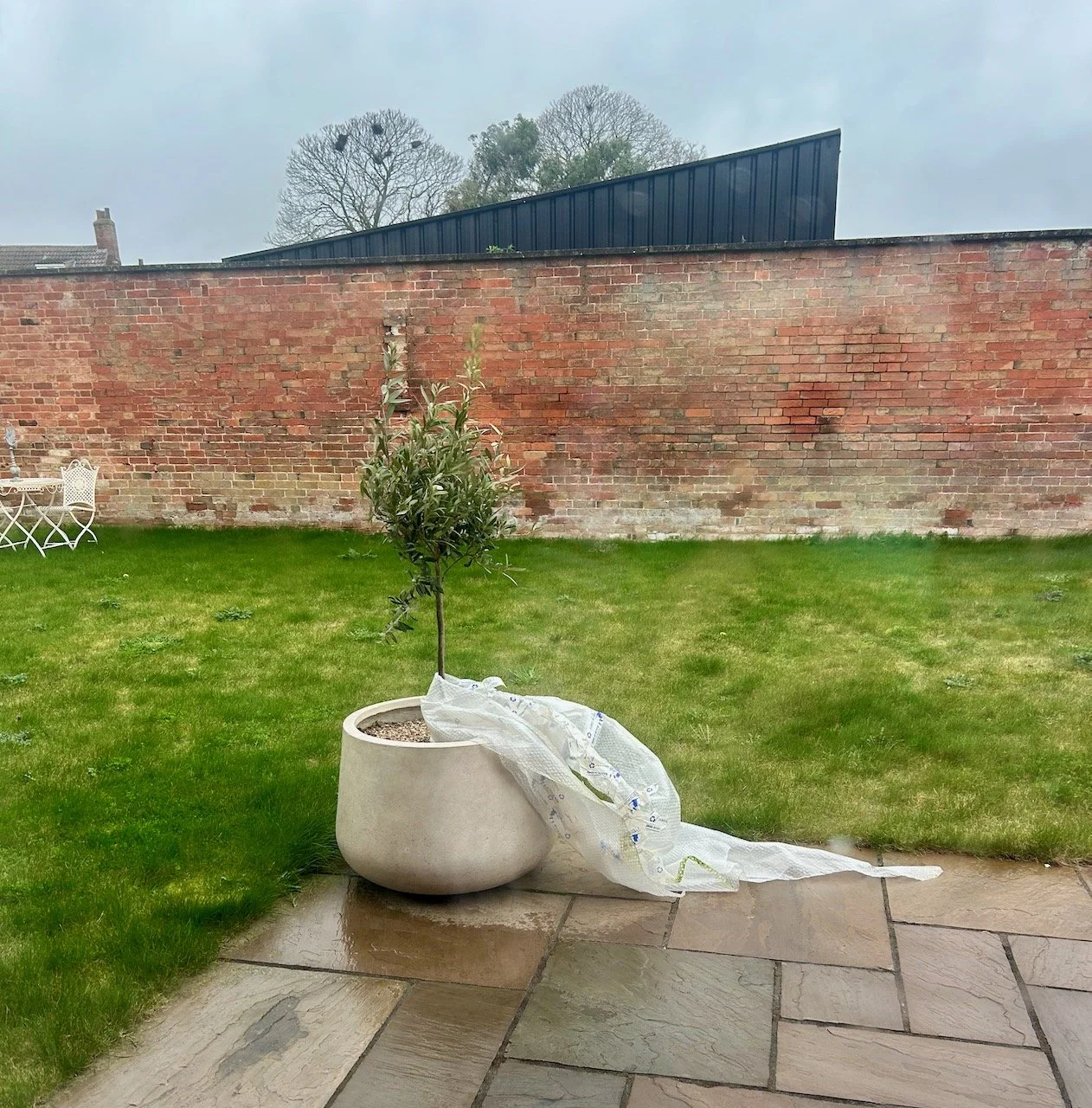 The bubblewrap almost removed by the wind