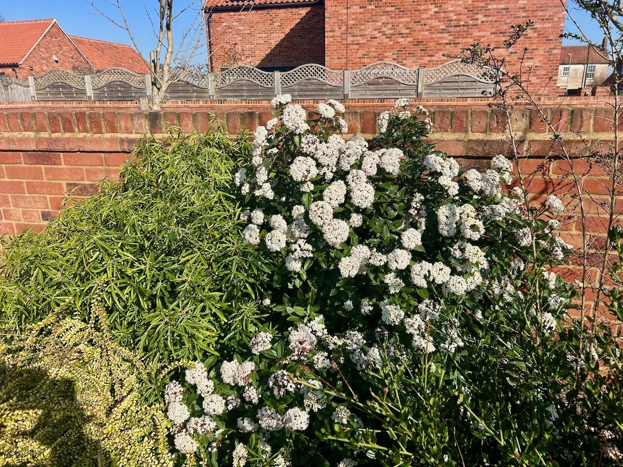 That's better - that peak has gone