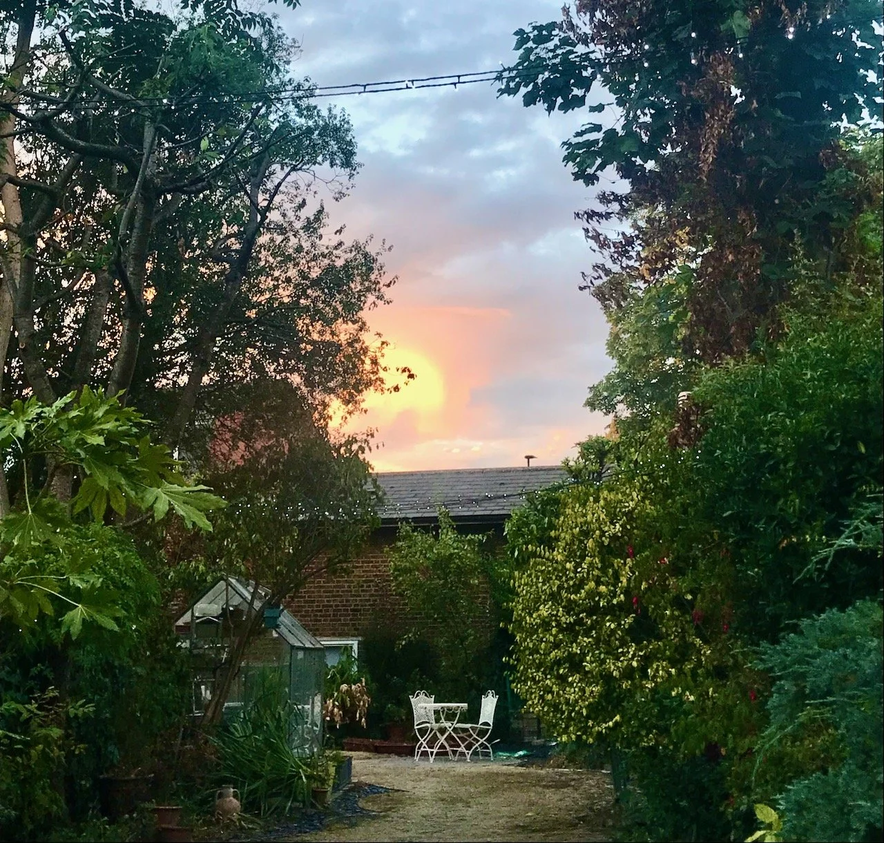 Looking down the length of our garden to a glorious sunsetting above the roof of the cottage at the far end of our garden