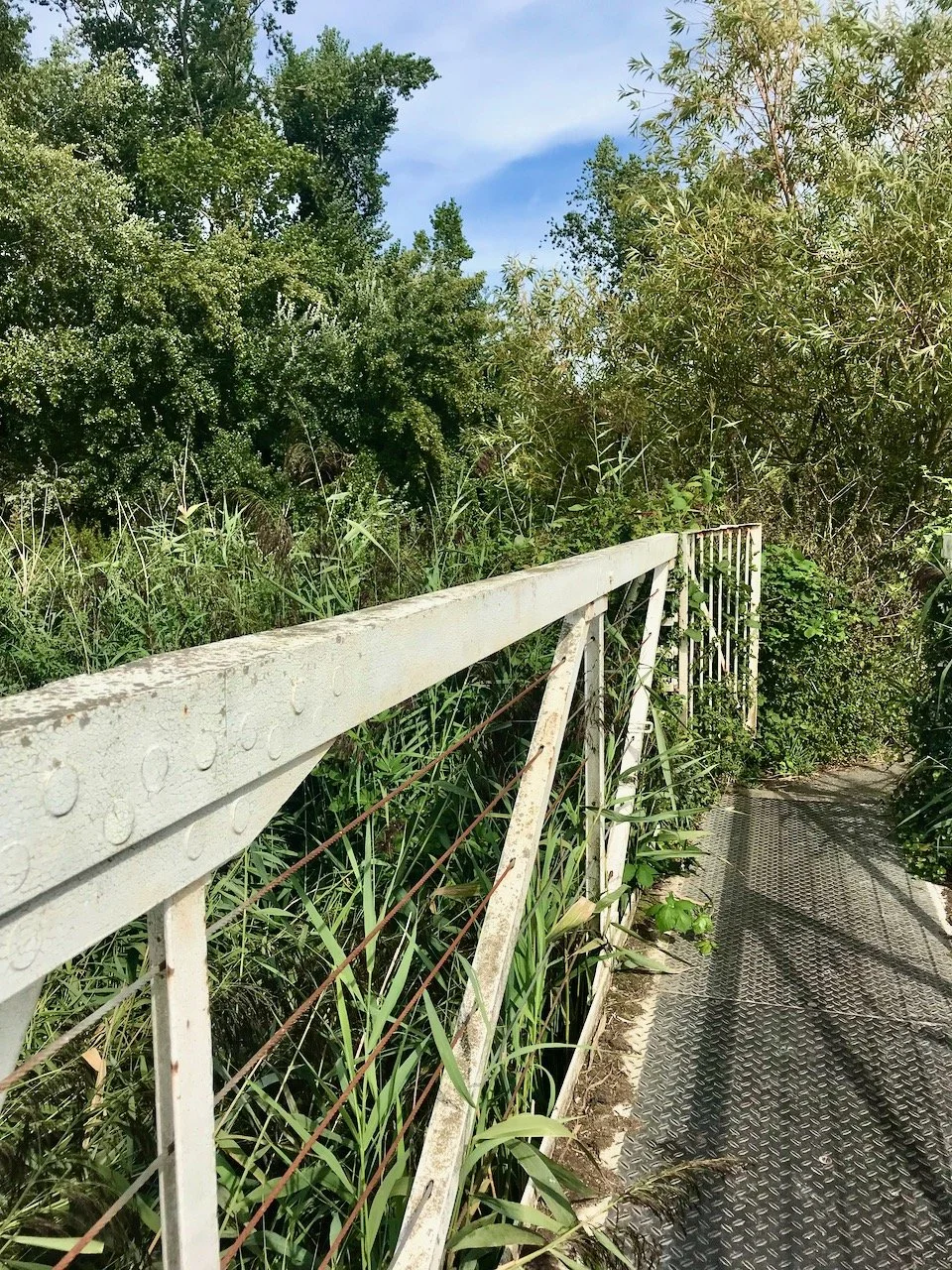 A metal bridge across a stream at the start of our walk
