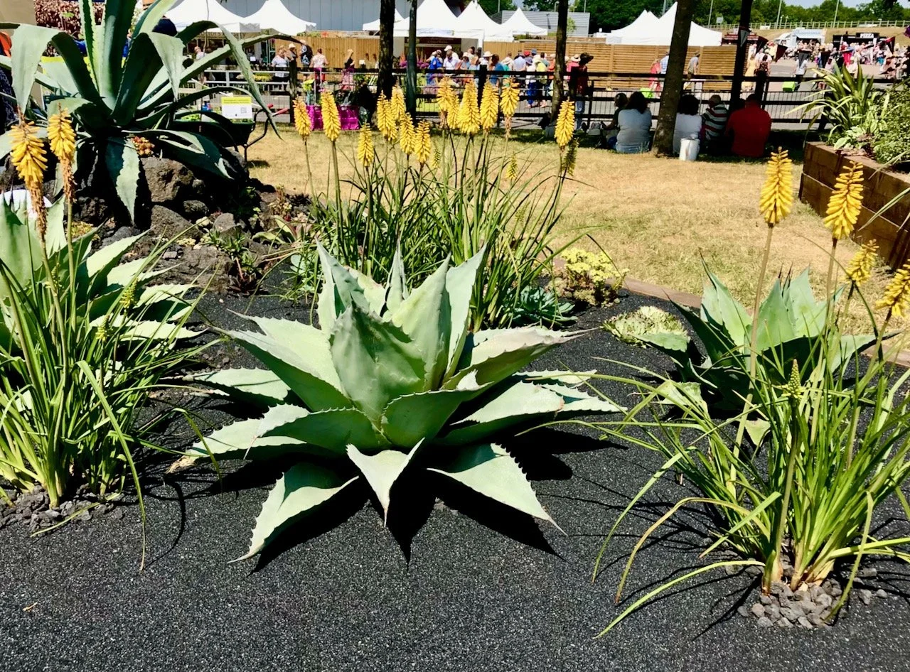 Some of my highlights from Gardeners' World Live 