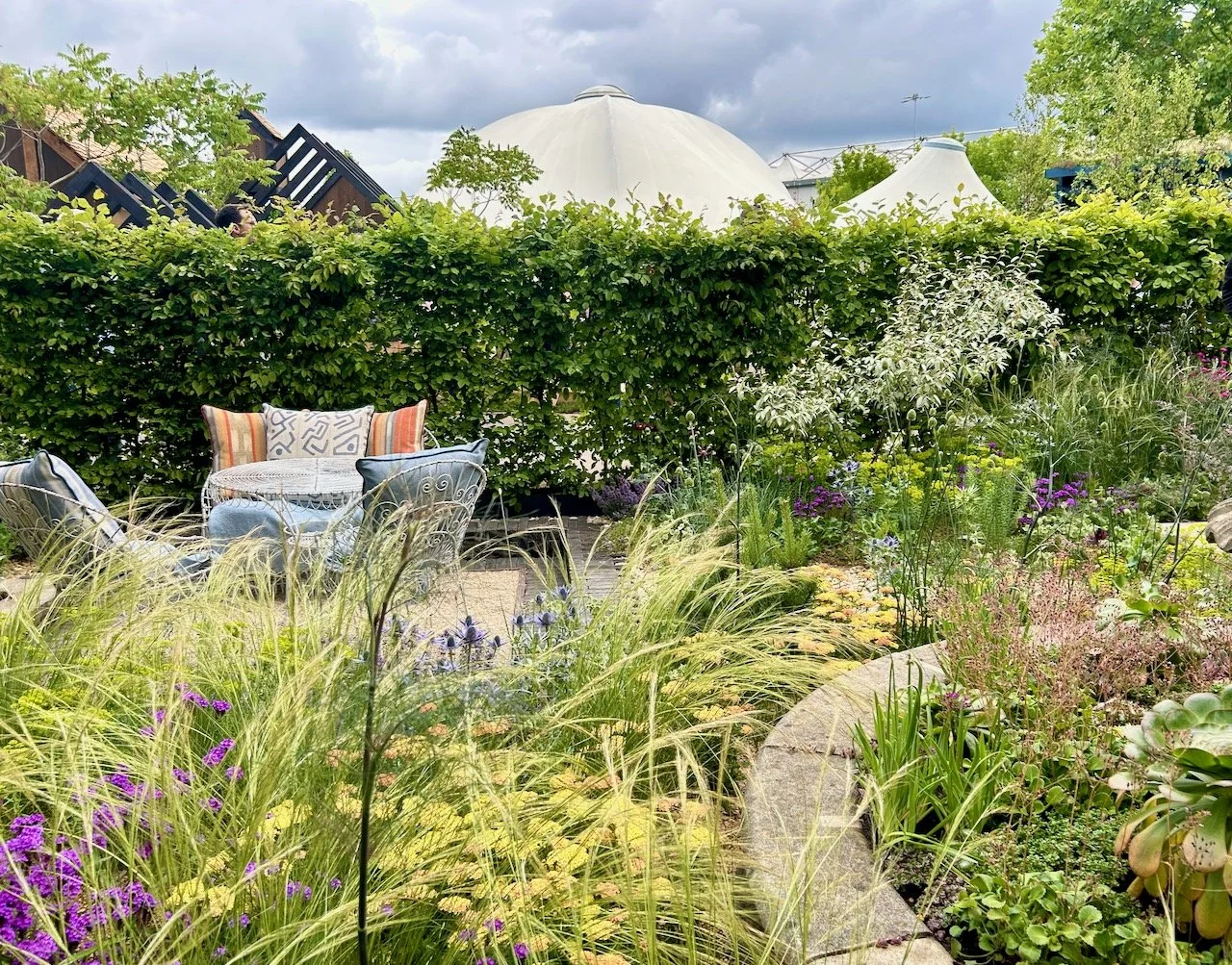 Looking across the floaty planting of grasses to the seating area