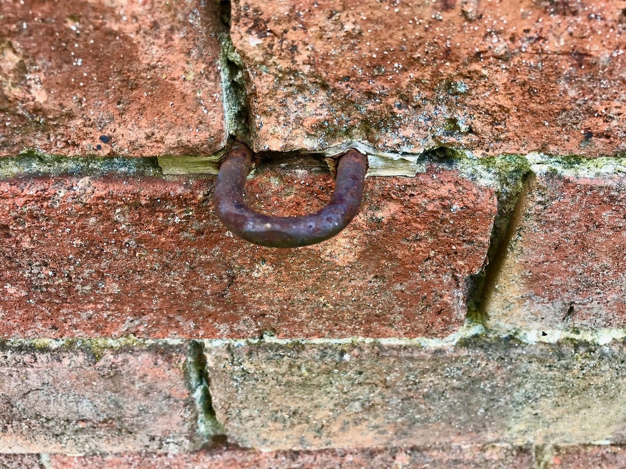 An iron hook embedded into the mortar of the wall