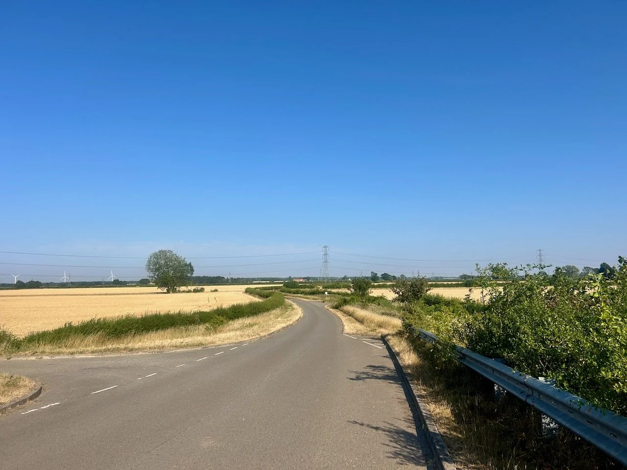 Looking across the dry yellow fields as we headed down Moor Lane