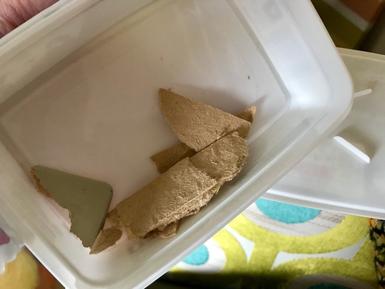 A plastic tub of 'broken bits' including the triangular section missing from the photo above