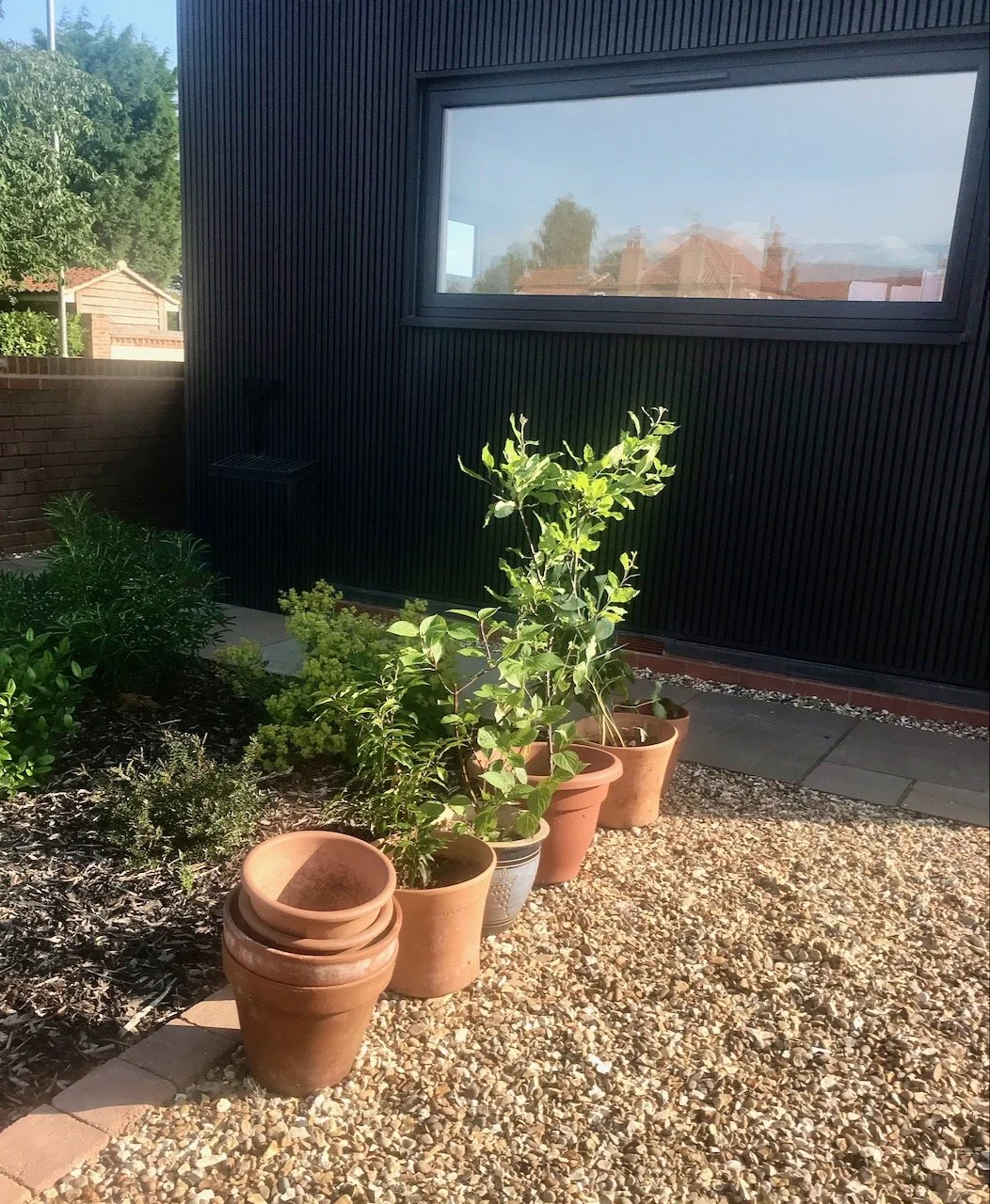 Looking towards the house with the street reflected in the window, the plants we brought (or some of them) are beneath the window