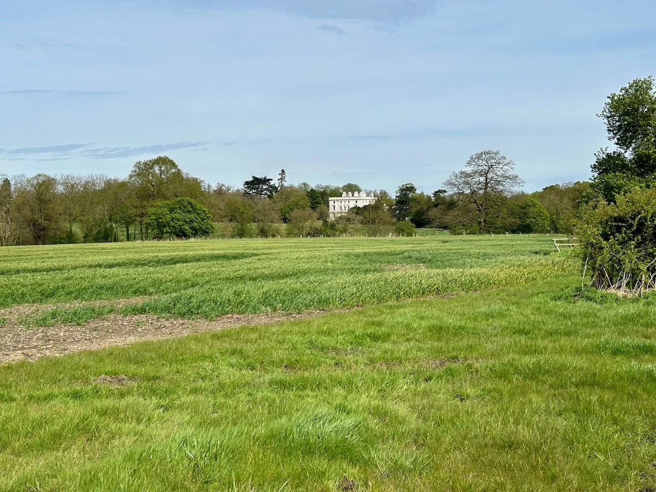 An even grander looking house in the distance nestled amongst trees