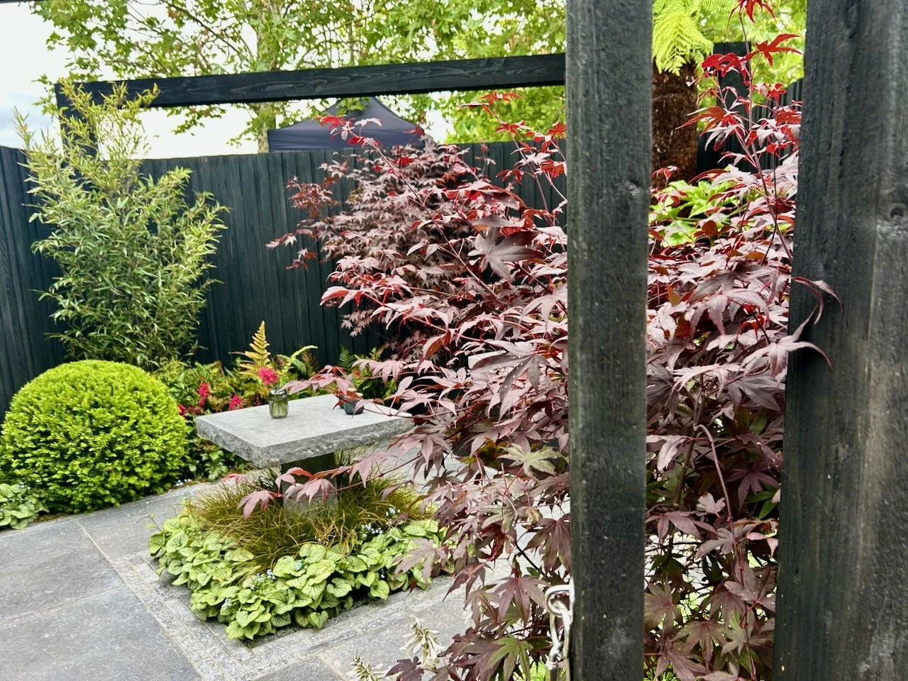 Admiring the green and dark planting