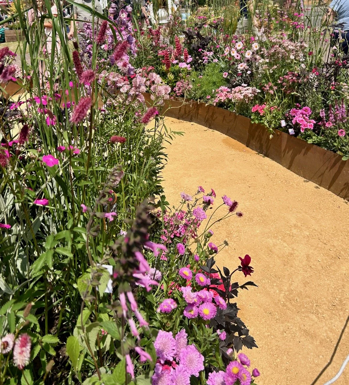 Think, all things pink - Gardeners' World Live 2025