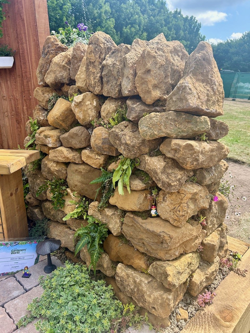 A section of dry stone wall planted with ferns in pockets - and space for a lego figure