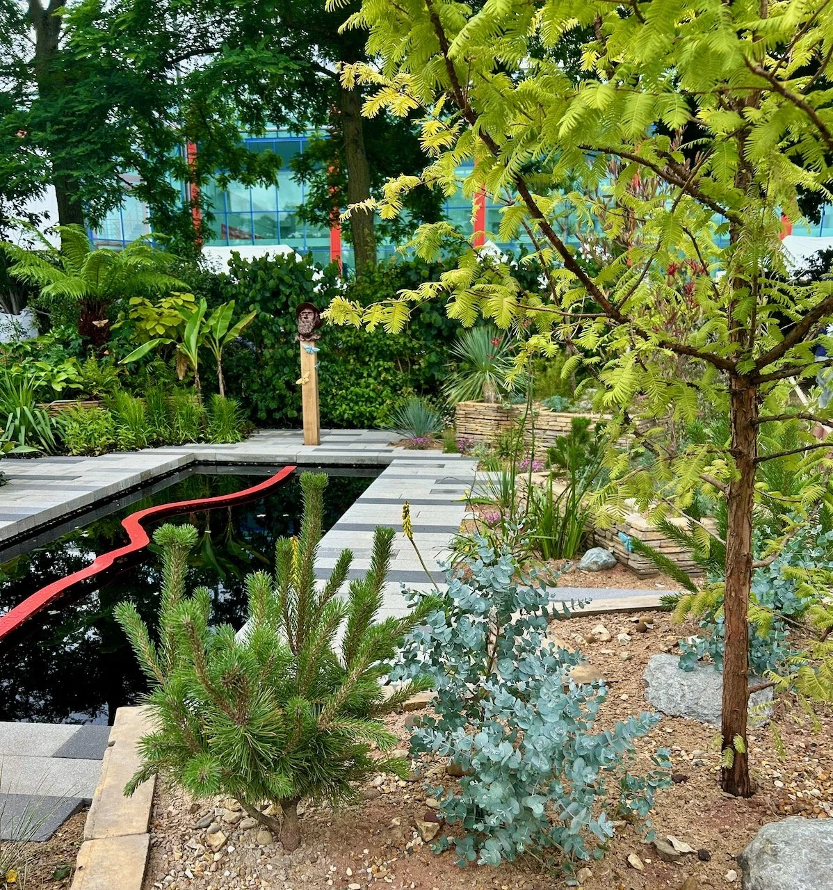 Planting on the Savannah/Desert side of the Wallace line