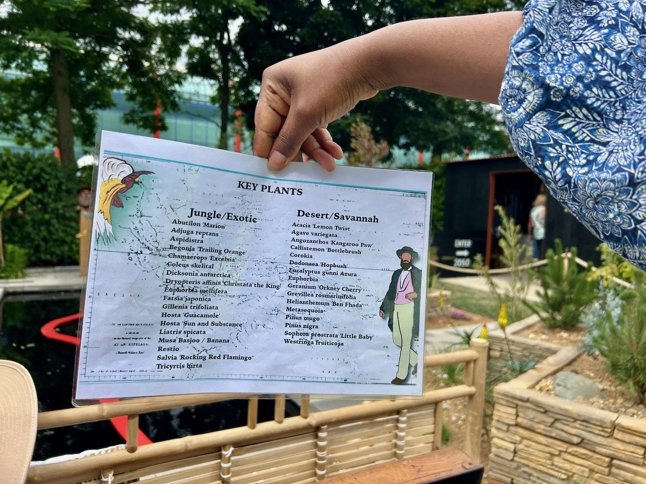 The key plants for each side of the garden being held up for the photo