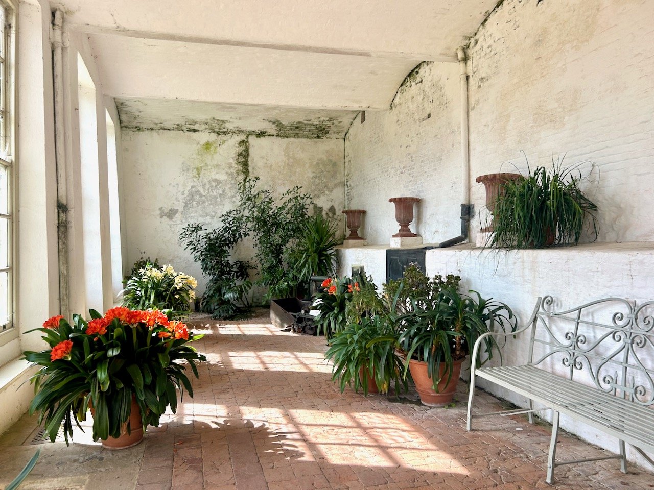 Looking along the length of the orangery, damp and all