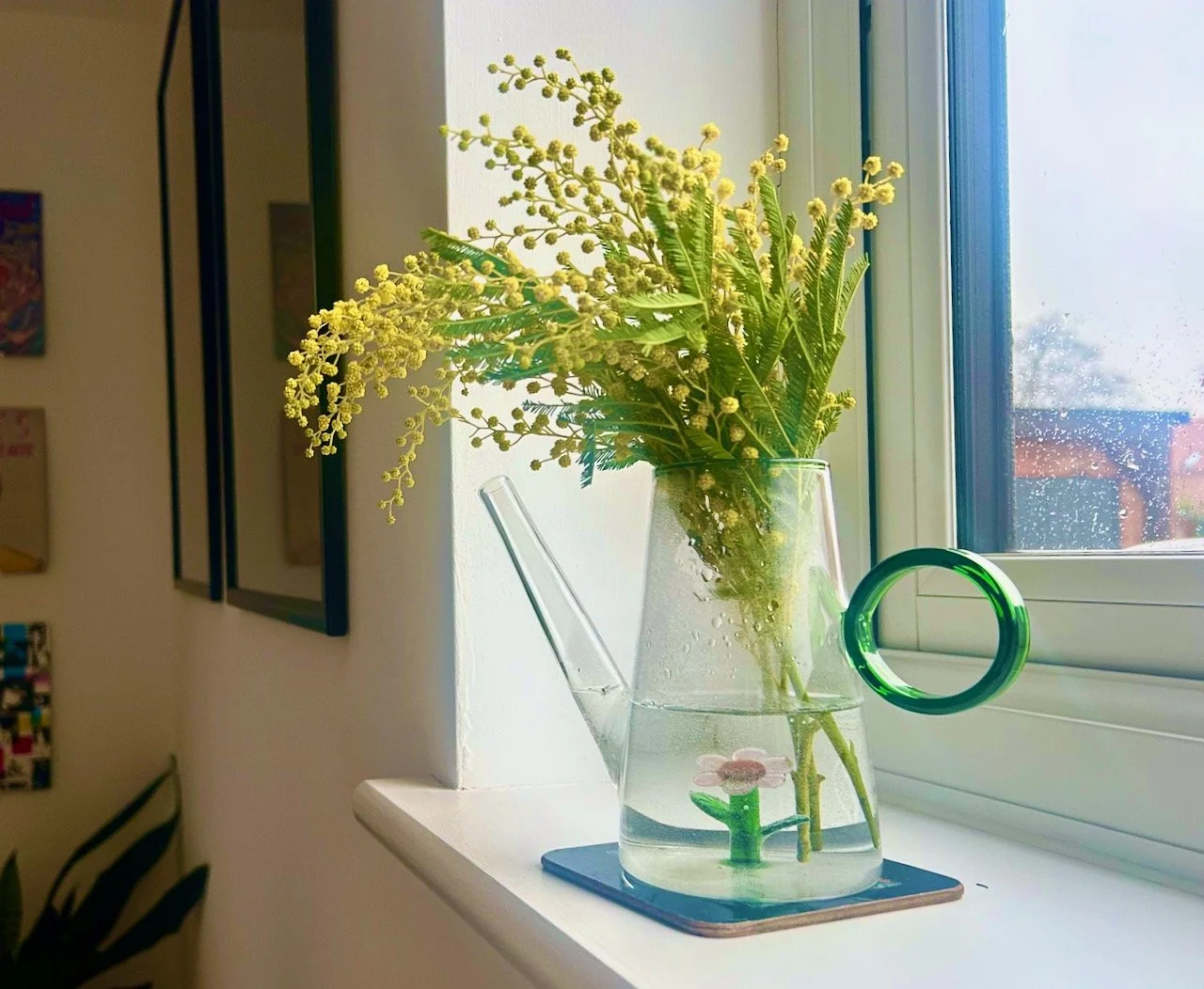 A small glass vase/watering can filled with the shorter mimosa stems