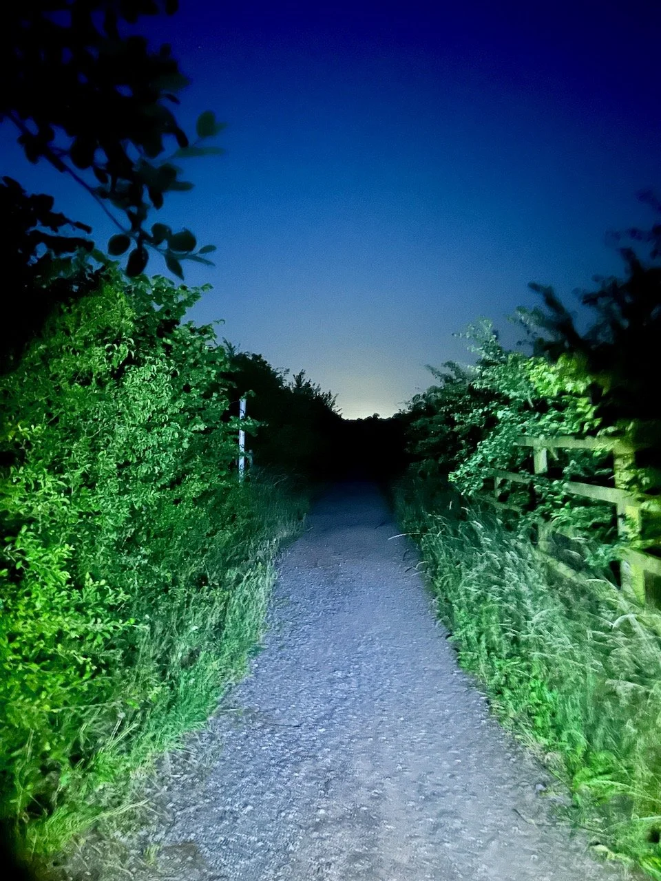Walking East Stoke's lanes: June 2026