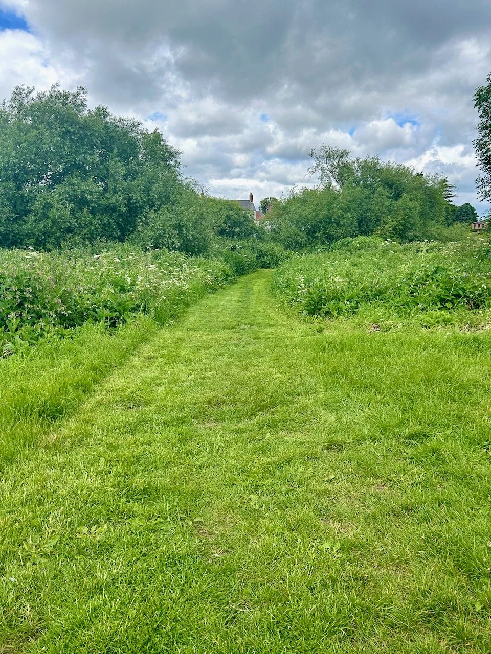 A verdant green grassed path heading towards the River Trent