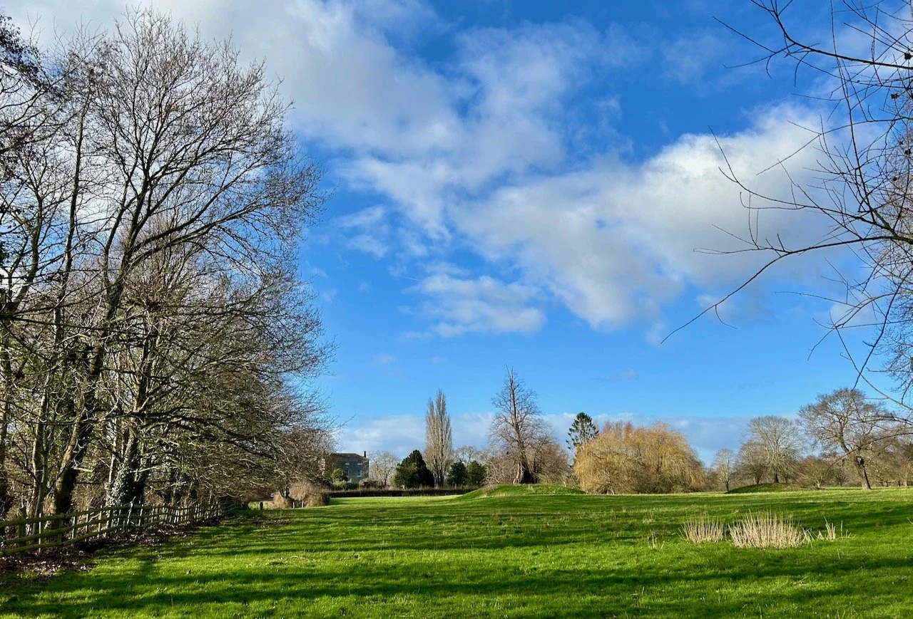 Looking across at Car Colston to a tree planted on a mound (unusual!)