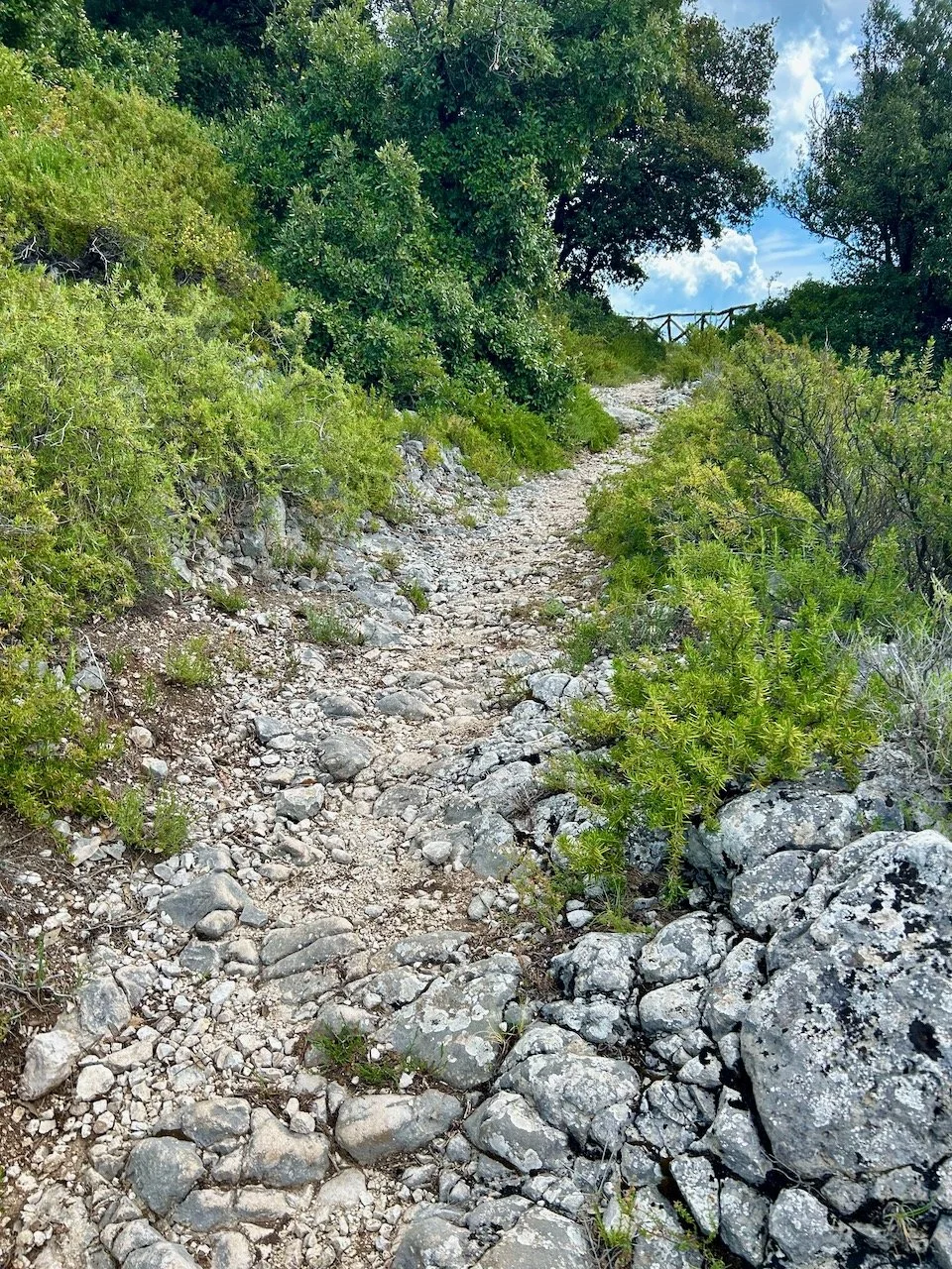 the rocky path upwards